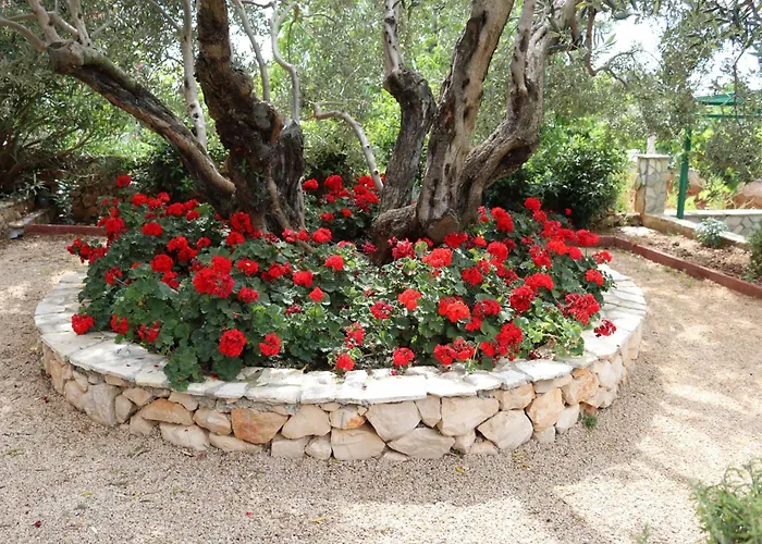 Bilokapic Accommodatie bij particulieren Primošten